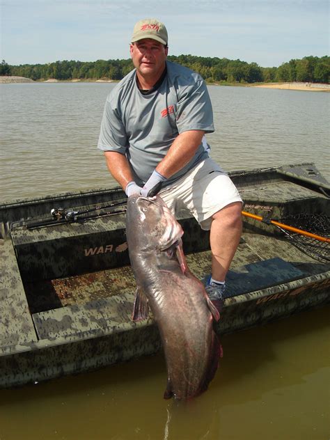 Adventures Of The Whiskery Kind Giant Catfish Of North Alabama