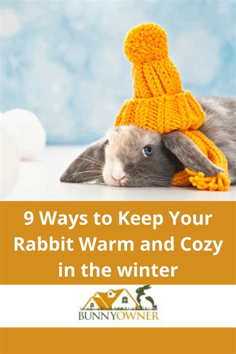 9 Ways To Keep Your Rabbit Warm And Cozy In The Winter In 2021 Pet
