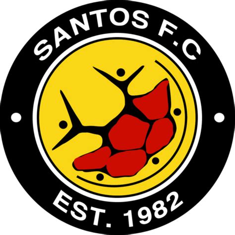 Download wallpapers cape town city fc, 4k, leather texture. Santos Football Club (@thepeoplesteam) | Twitter