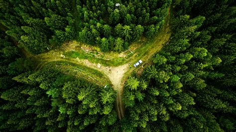 Hd Wallpaper Aerial View Drone Landscape Forest Nature Wallpaper