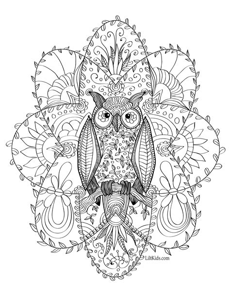 Hard Owl Coloring Page Serendipity Adult Coloring Pages Printable