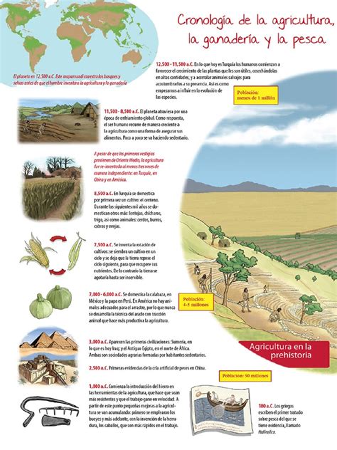 La Historia De La Agricultura Pdf