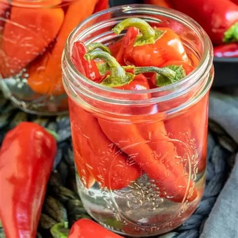 Hot Pepper Sauce Recipe Pepper Vinegar Home Made Interest