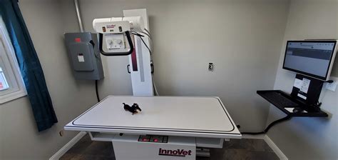 Advantages Of Using A Veterinary Digital X Ray Machine Dicom Solutions