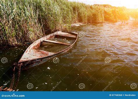 Old Flooded Boat In The Reeds Stock Photo Image Of Pond Sunset