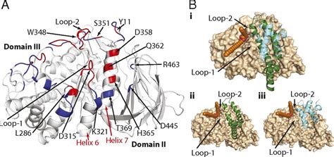 Mechanism Of Glucocerebrosidase Activation And Dysfunction In Gaucher