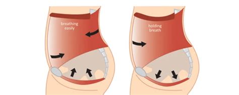 Breathing Pelvic Floor Theyre Connected Easthill Physiotherapy