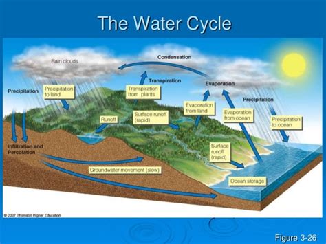 Soil And Biomes And Cycles Ppt