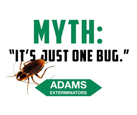 Adams Exterminators - Pest Control Service - Albany ...