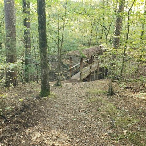 Tree Trail Is A 16 Mile Hike In Oklahoma That Leads You To A Pristine