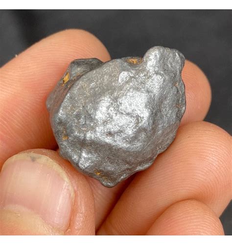 Fossils 10 G Nantan Iron Meteorite