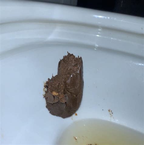 Just Another Poop Shoot Rat535j1c