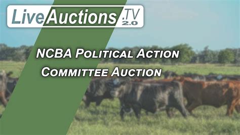 Ncba Political Action Committee Auction Youtube