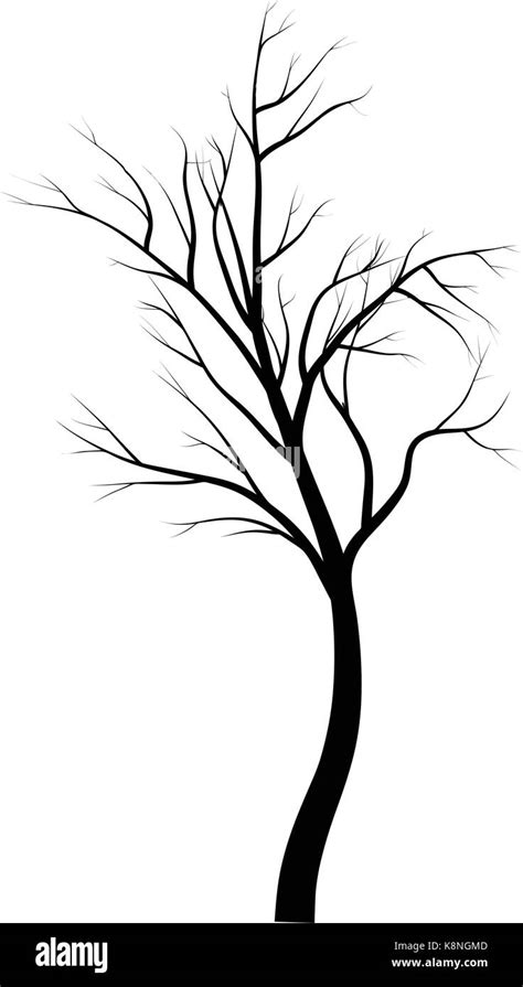 Bare Tree Branch Silhouette Vector Symbol Icon Design Beautiful
