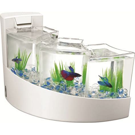 Betta fish are also known as siamese fighting fish, and for good reason: Aqueon Kit Betta Falls White | eBay