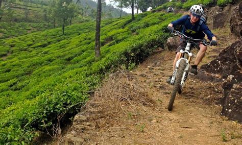 10 Best Places For Mountain Biking In India Magicpin Blog