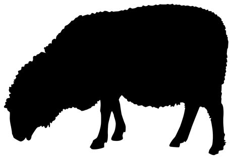 Sheep Silhouette Png 10 Free Cliparts Download Images On Clipground 2022