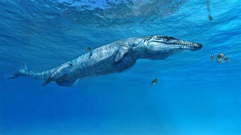 Paleontologists Identify New Species Of Prehistoric Marine Crocodile