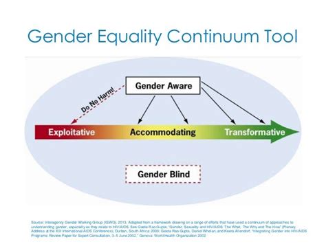 Transforming Gender Norms Roles And Power Dynamics To Reduce Gbv A