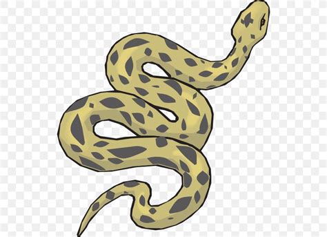 Anaconda Animation Clipart 10 Free Cliparts Download Images On
