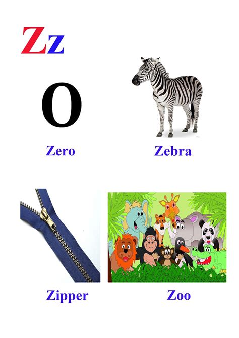 Letter Z Word List With Illustrations Printable Poster Color Alphabet
