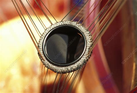 Prosthetic Heart Valve During Surgery Stock Image M5610096