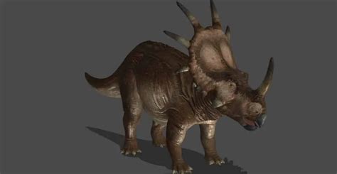 Styracosaurus Facts And Pictures