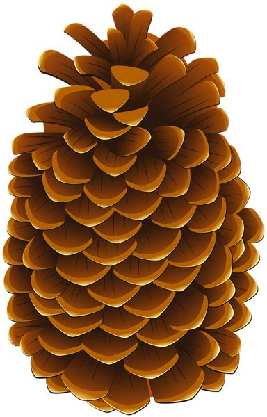 Image Transparent Pine Cone Crafts Holidays Thanksgiving Arte Floral