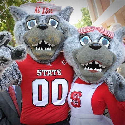 Cutest College Mascots Nc State Wolfpack Nc State Acc Teams