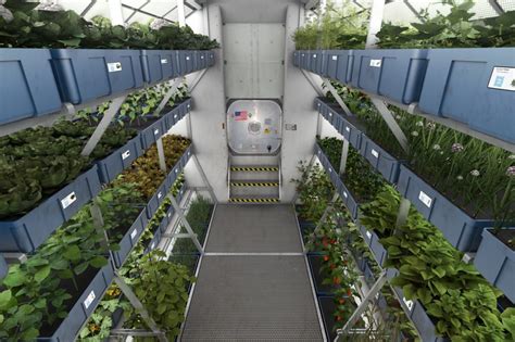 Growing Hydroponics And Food In Space Garden Culture Magazine