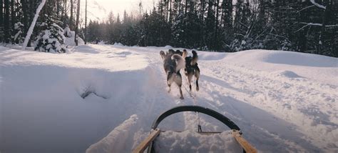 Winter Experiences Northeast Bc Tourism