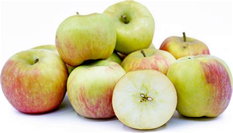 Honeycrisp Apples Information, Recipes and Facts