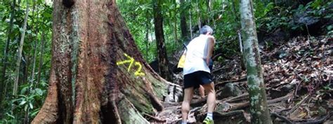 Bukit Larut Share My Hikes Hikers For Life