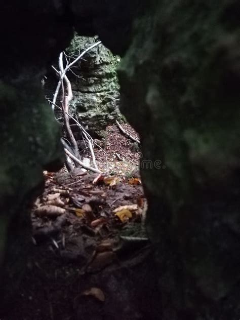 Mythical Hidden Forest Caves Fantasy Stock Photo Image Of Hidden