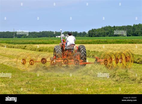 Tractor Working Farm Field Raking Hay Near Croswell Michigan Stock