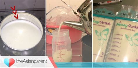 How To Scald Breastmilk A Step By Step Guide With Images