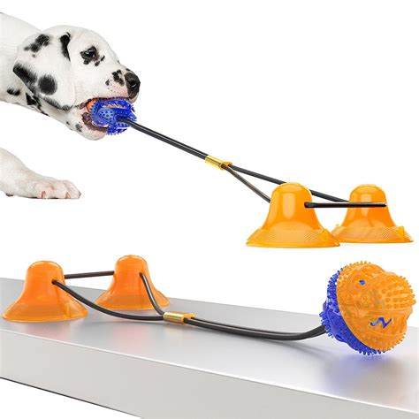 Pet Molar Biting Toy Floor Dual Suction Cup Dog Tug Of War Chewing