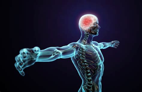 Smart Hacks To Maintain A Healthy Central Nervous System Cns