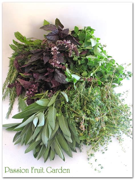 Mixed Herbs North Cornwall Bangors Organic Veg Boxes