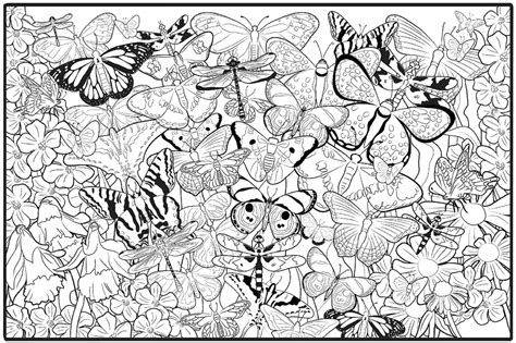 24 Detailed Butterfly Coloring Pages Free Coloring Pages