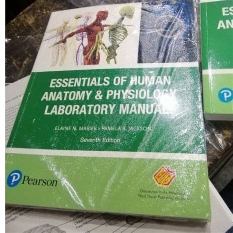 Essential Of Human Anatomy And Physiology Laboratory Manual Marieb 7th Ed