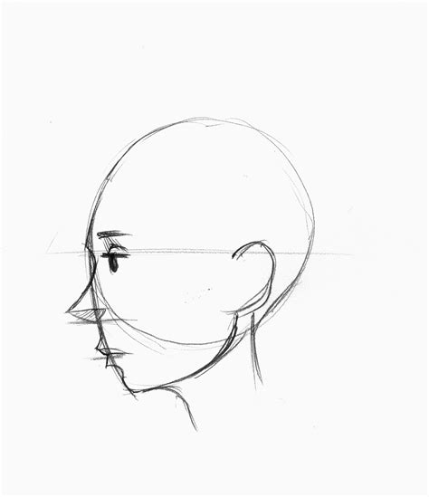 Simple Profile Drawing