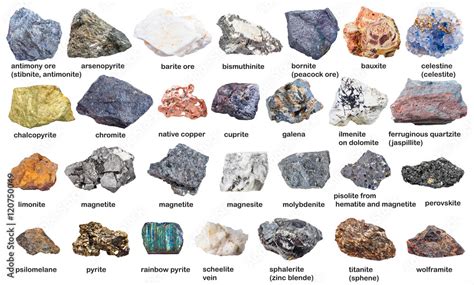 Set From Raw Minerals And Ores With Names Isolated Stock Photo Adobe