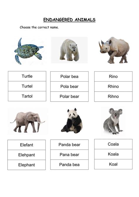 Endangered animals names worksheet