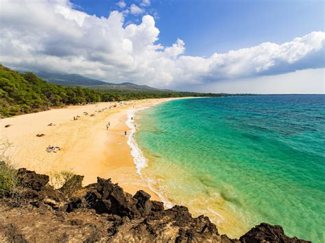Tropical Beach Maui Island Hawaii United States Of America