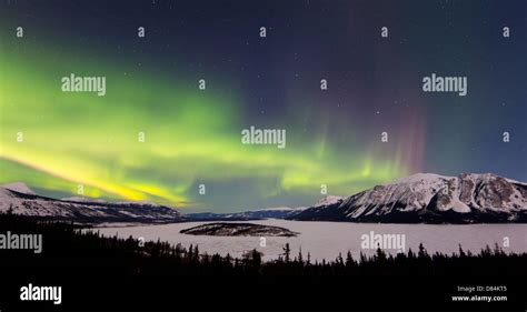Aurora Borealis Over Bove Island Windy Arm Carcross Yukon Canada