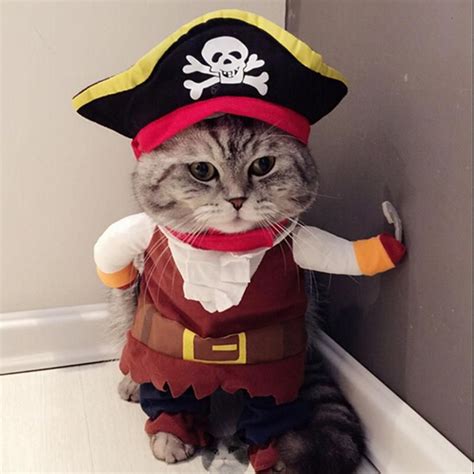 Pet Dog Cat Pirate Costume With Skull And Crossbones Hat Cute Cats