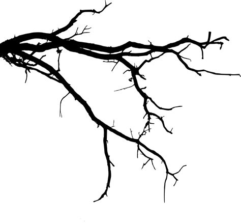 15 Tree Branch Silhouettes Png Transparent