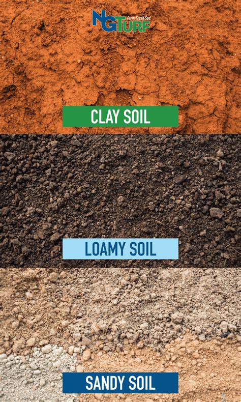 Silt Soil Texture