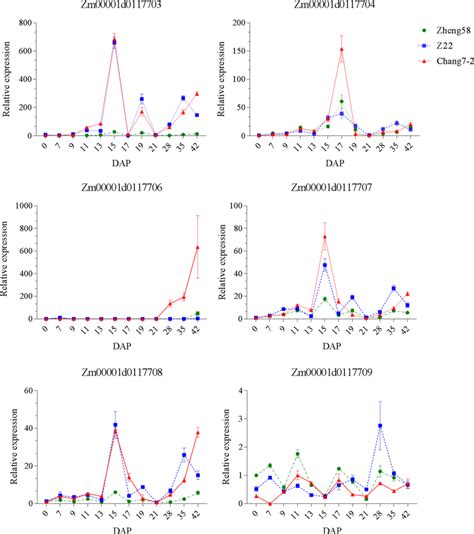 Expression Of The Six Candidate Genes At Different Stages Of Kernel